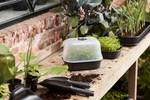green basics kweektray schotel s living black